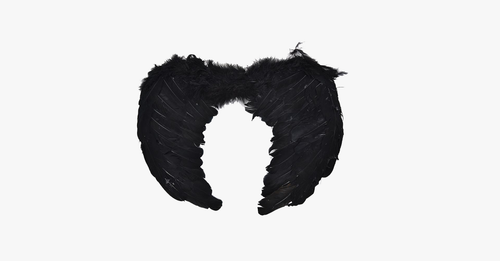 Angel Wings Halloween Costume - FREE SHIP DEALS