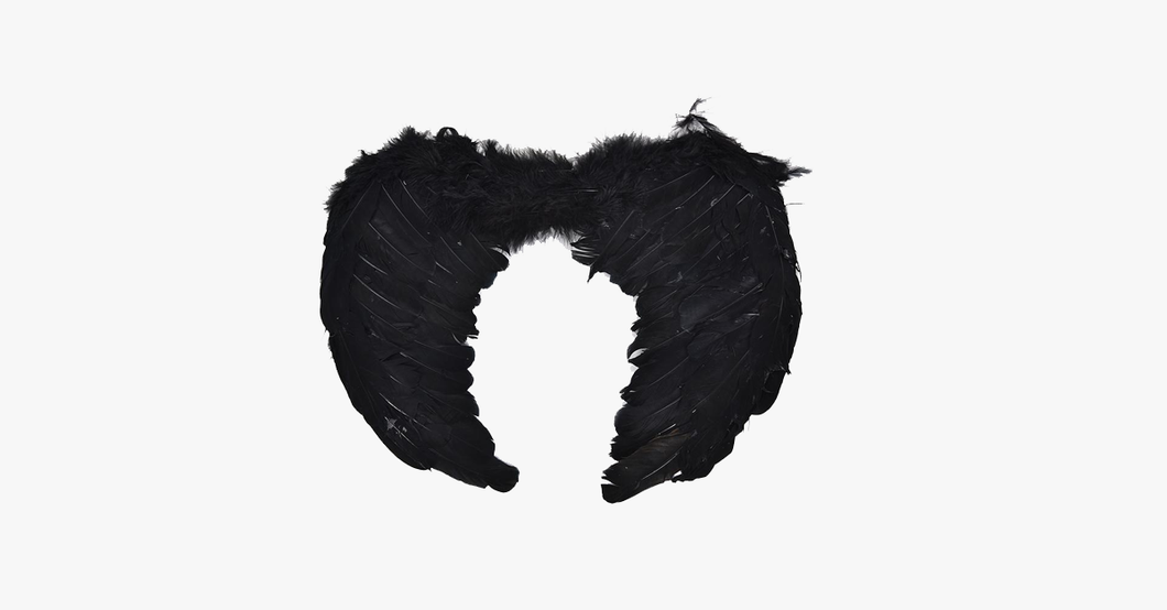 Angel Wings Halloween Costume - FREE SHIP DEALS