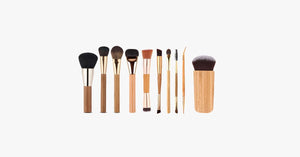 10 Piece Professional Brush Set - FREE SHIP DEALS