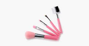 5 Piece MakeUp Travel Set - FREE SHIP DEALS